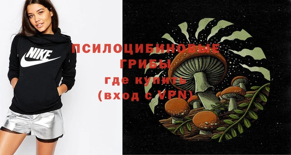 индика Алексеевка